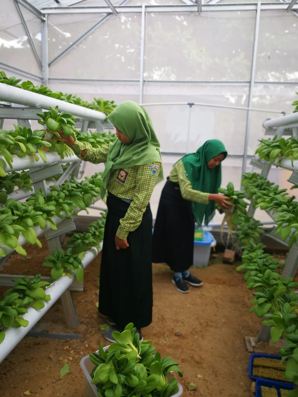 Double Track Mandiri Sebagai Bentuk Fasilitasi Minat Dan Bakat Siswa Sma Negeri 5 Pamekasan