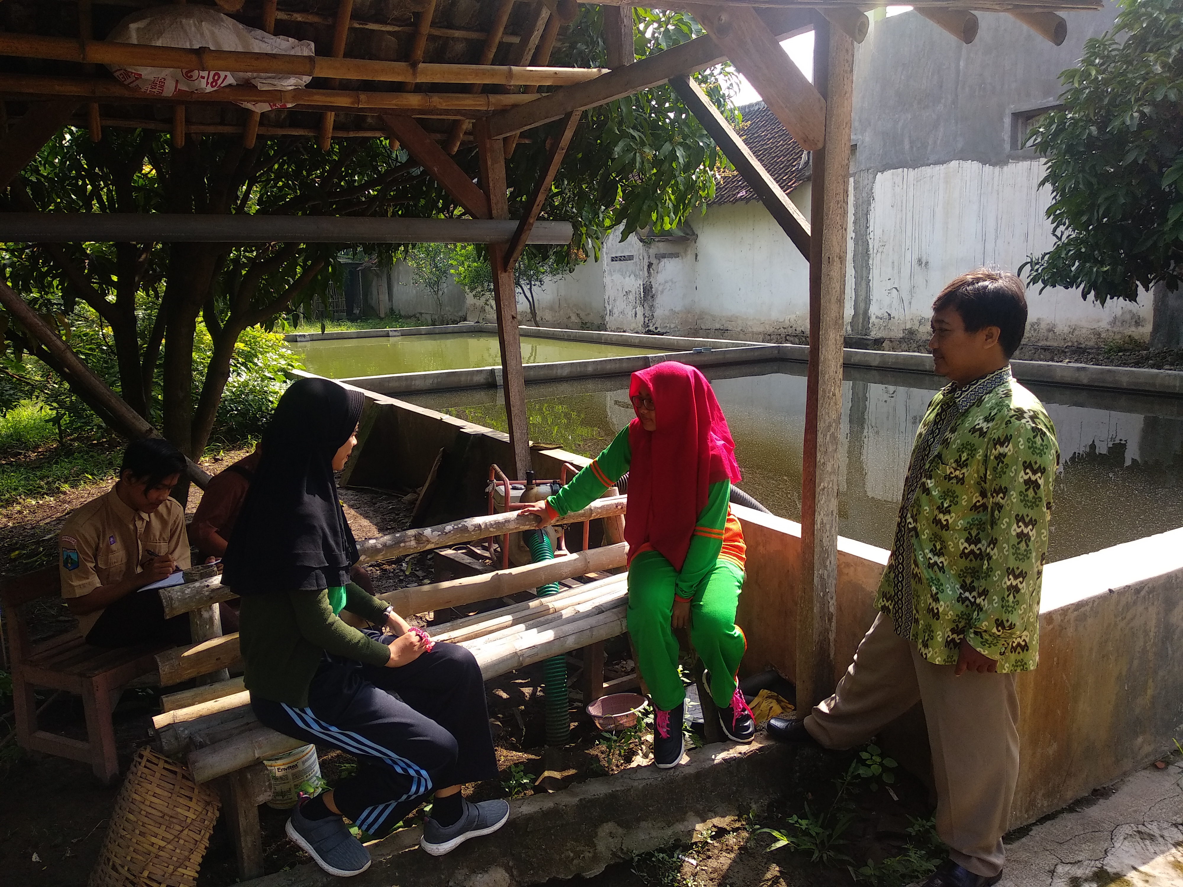 Budidaya Ikan Tawar