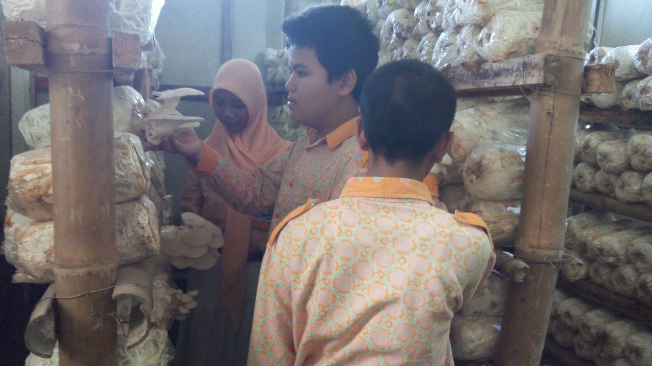 Pengembangan Diri Budi Daya Jamur Tiram