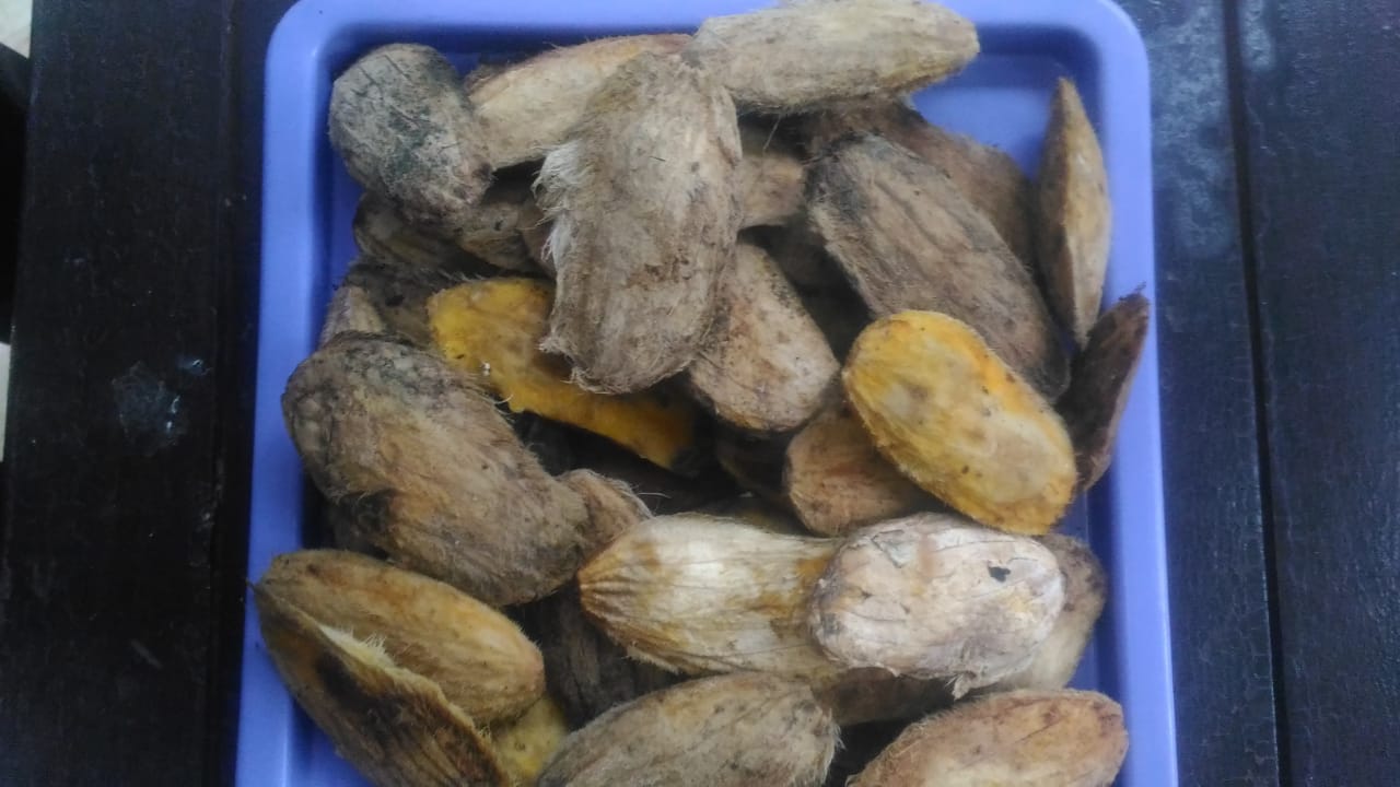 Pemanfaatan Ampas Biji Mangga Menjadi Jenang Melalui Model Pembelajaran Idha