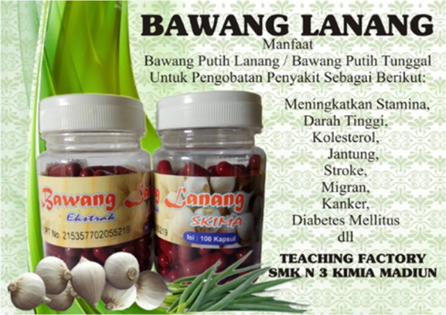 Pembuatan Obat Herbal Ektrak Bawang Lanang Bentuk Kapsul
