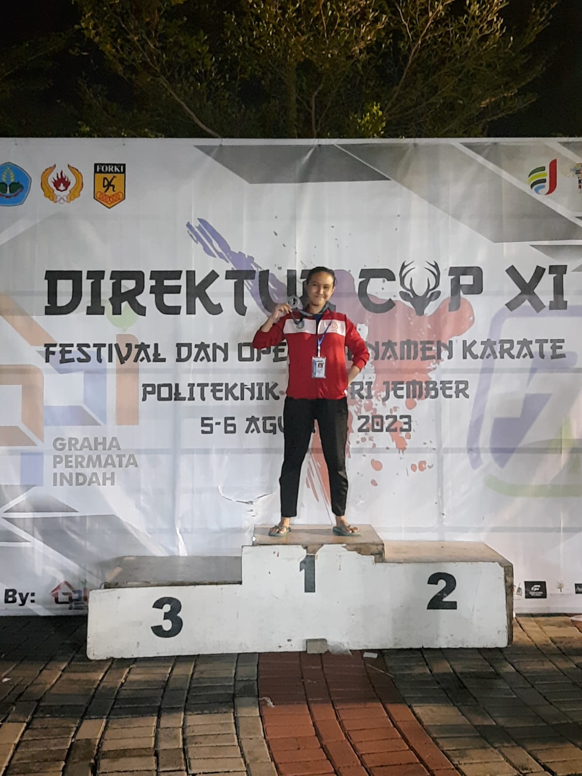 Kejuaraan Karate Direktur Cup XI