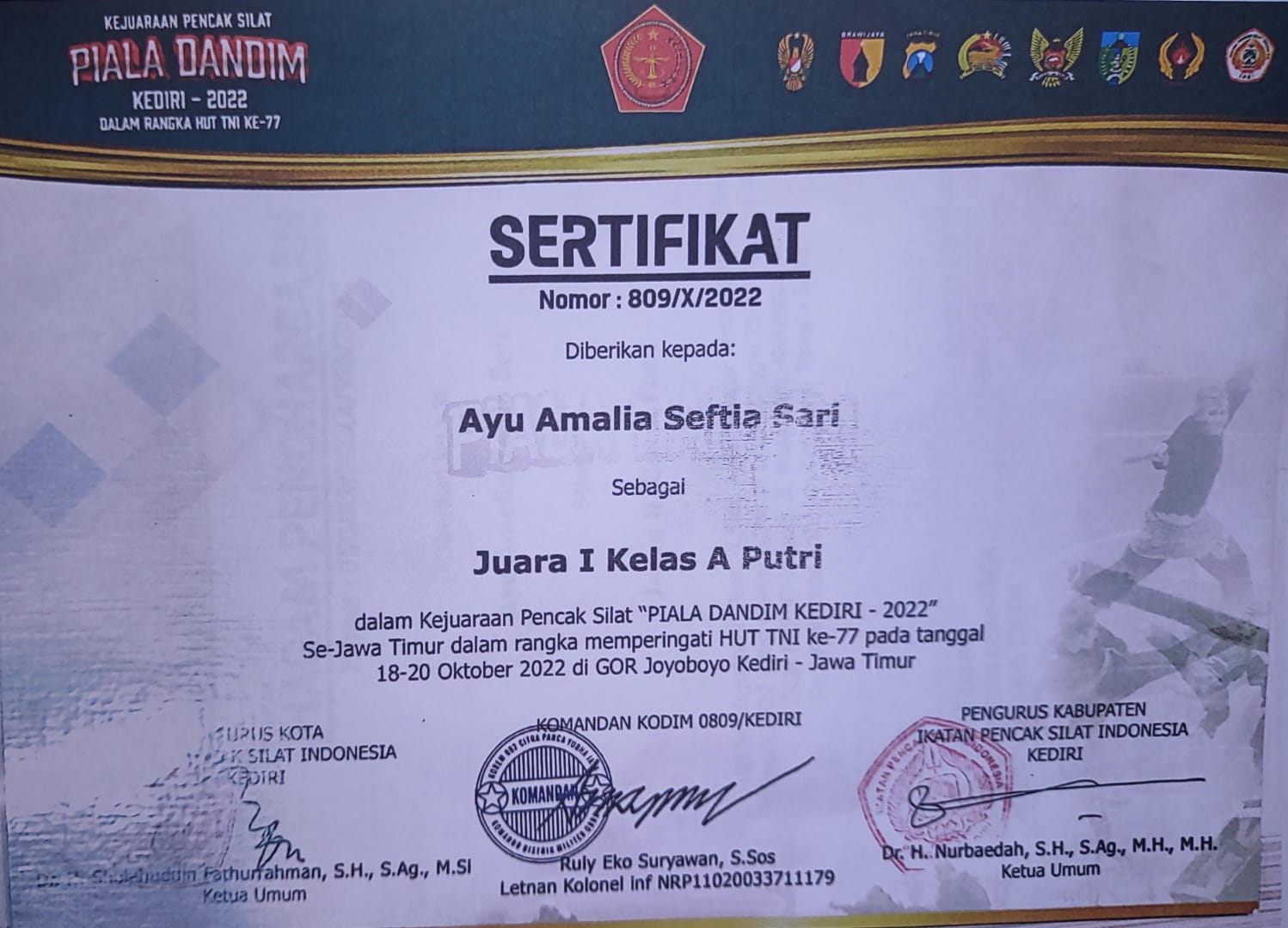 Kejuaraan Pencak Silat \