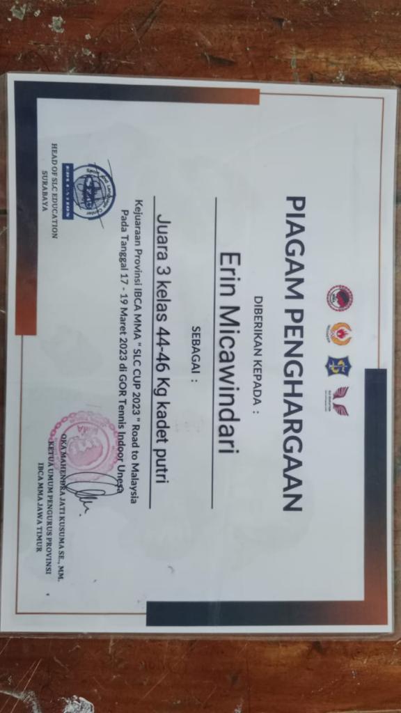 Kejuaraan Provinsi IBCA MMA \