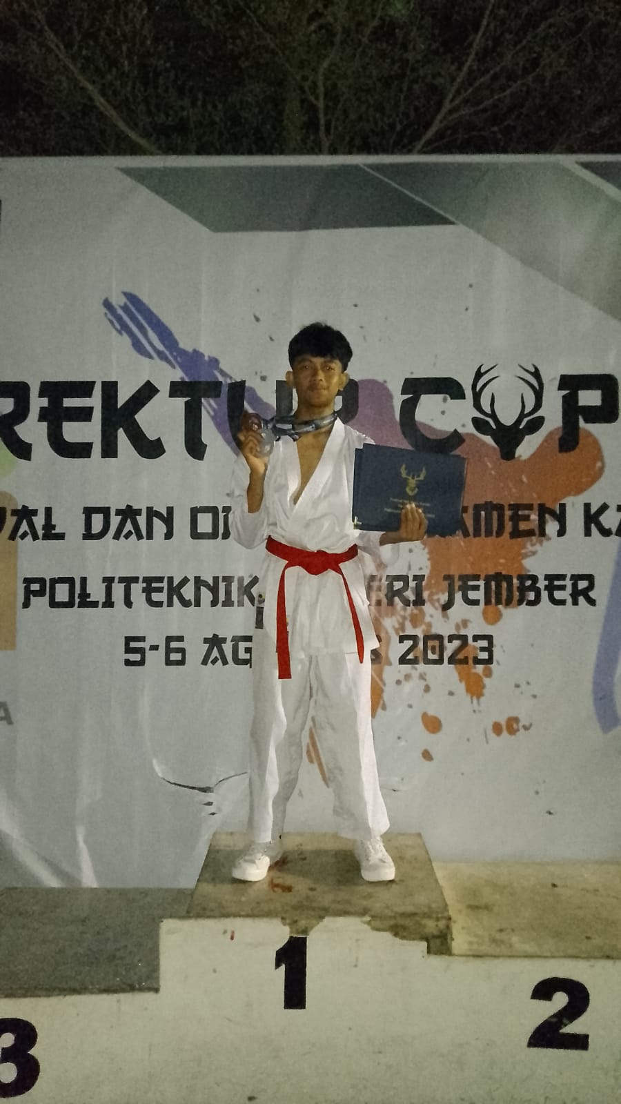 Kejuaraan Karate Direktur Cup XI