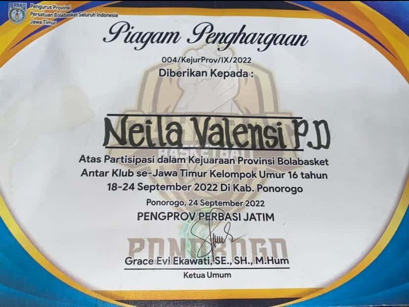 Kejuaraan provinsi bolabasket antar klub 