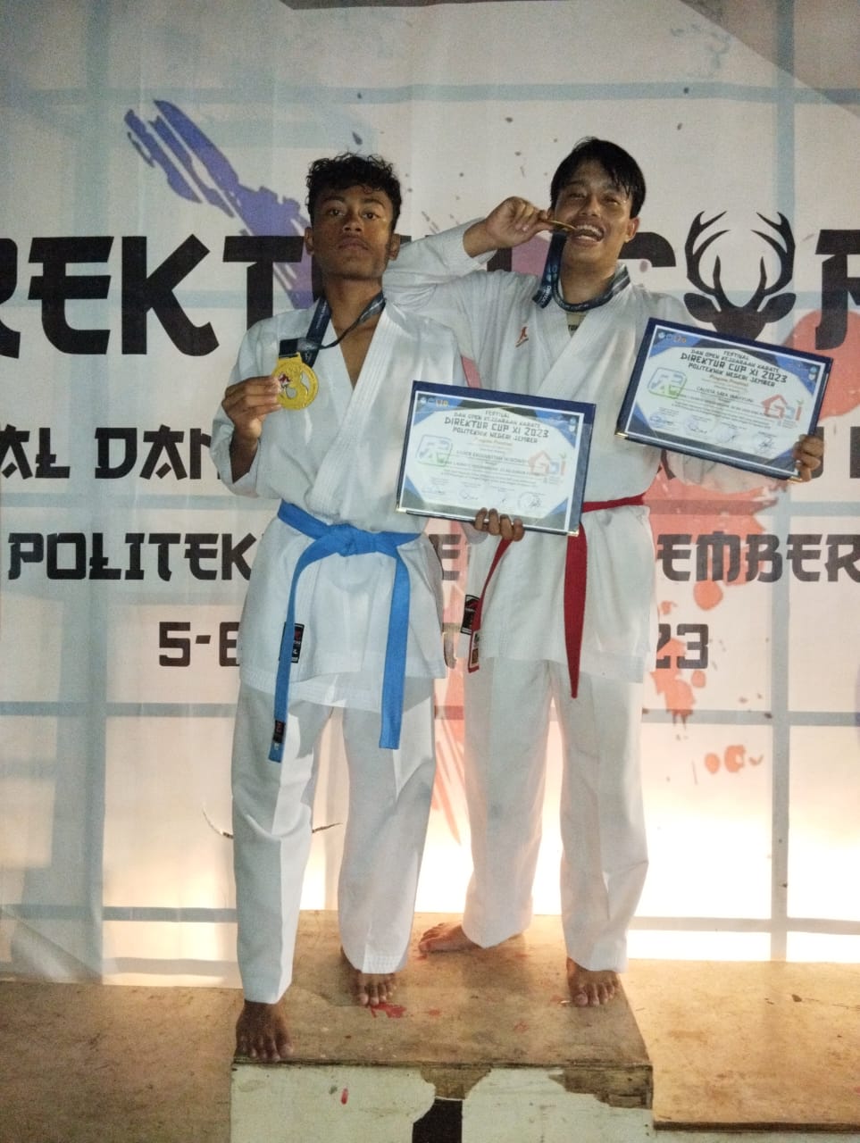 Kejuaraan Karate Direktur Cup XI